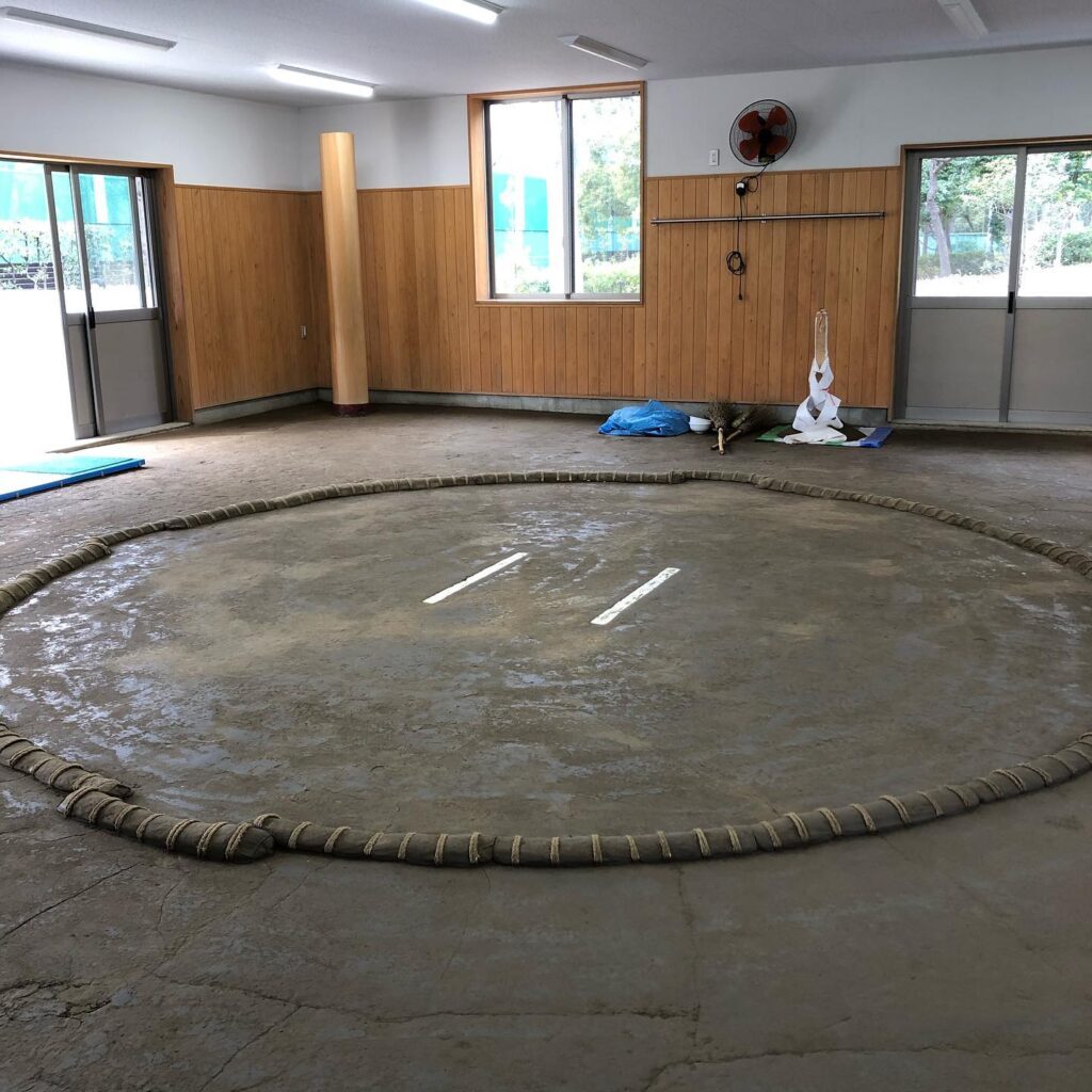 Traditional Ring (Dohyo)